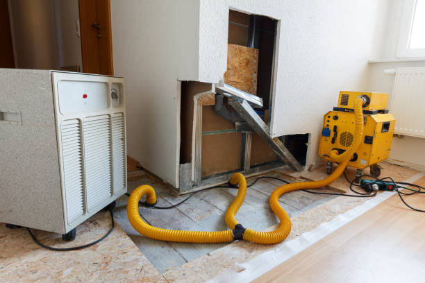 Best Dehumidification Services  in Northwood, OH